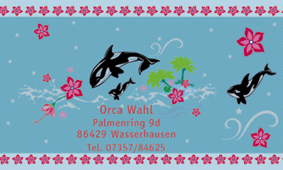 Orca